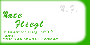 mate fliegl business card